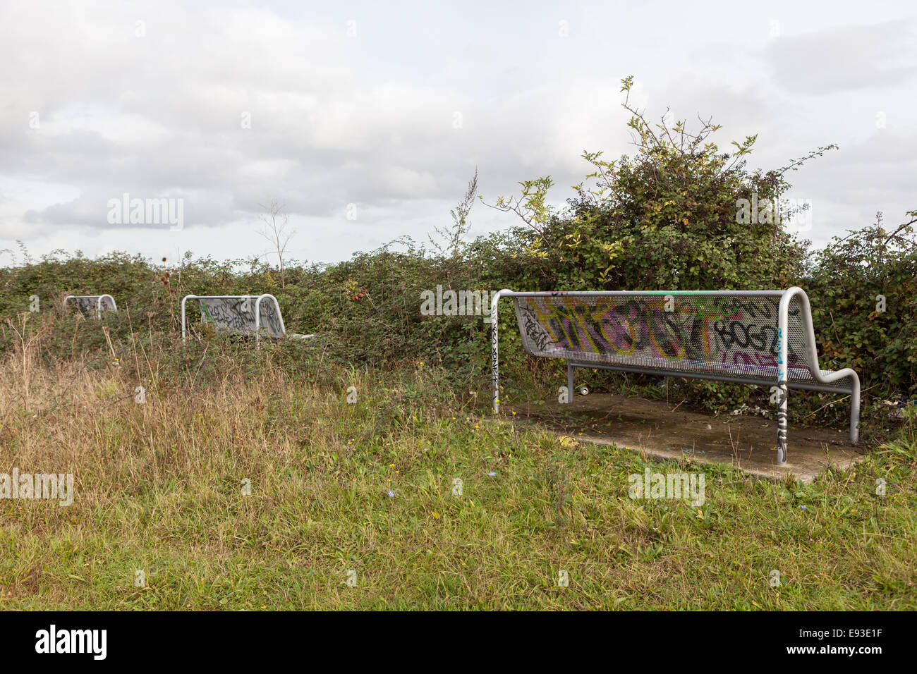 überwucherten Bänke Stockfoto