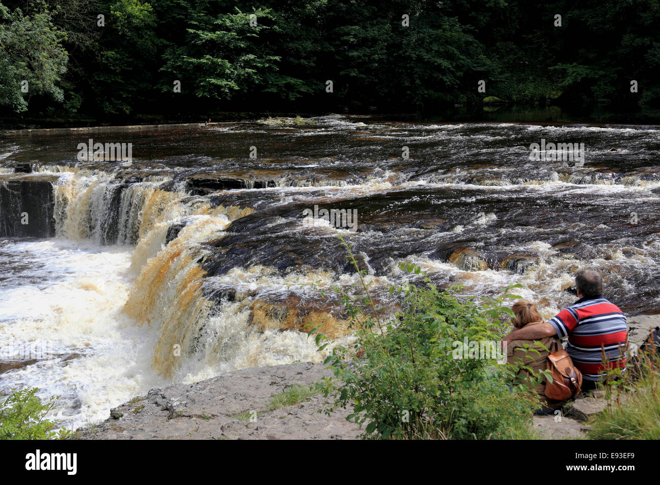 3296 obere Aysgarth Falls River Ure, Aysgarth, Wensleydale, North Yorkshire, Großbritannien Stockfoto