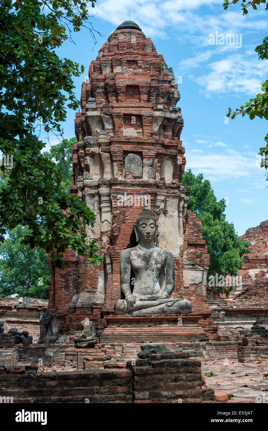 Antike Ruinen im Wat Mahathat in Ayutthaya Historical Park, Ayutthaya, Thailand Stockfoto