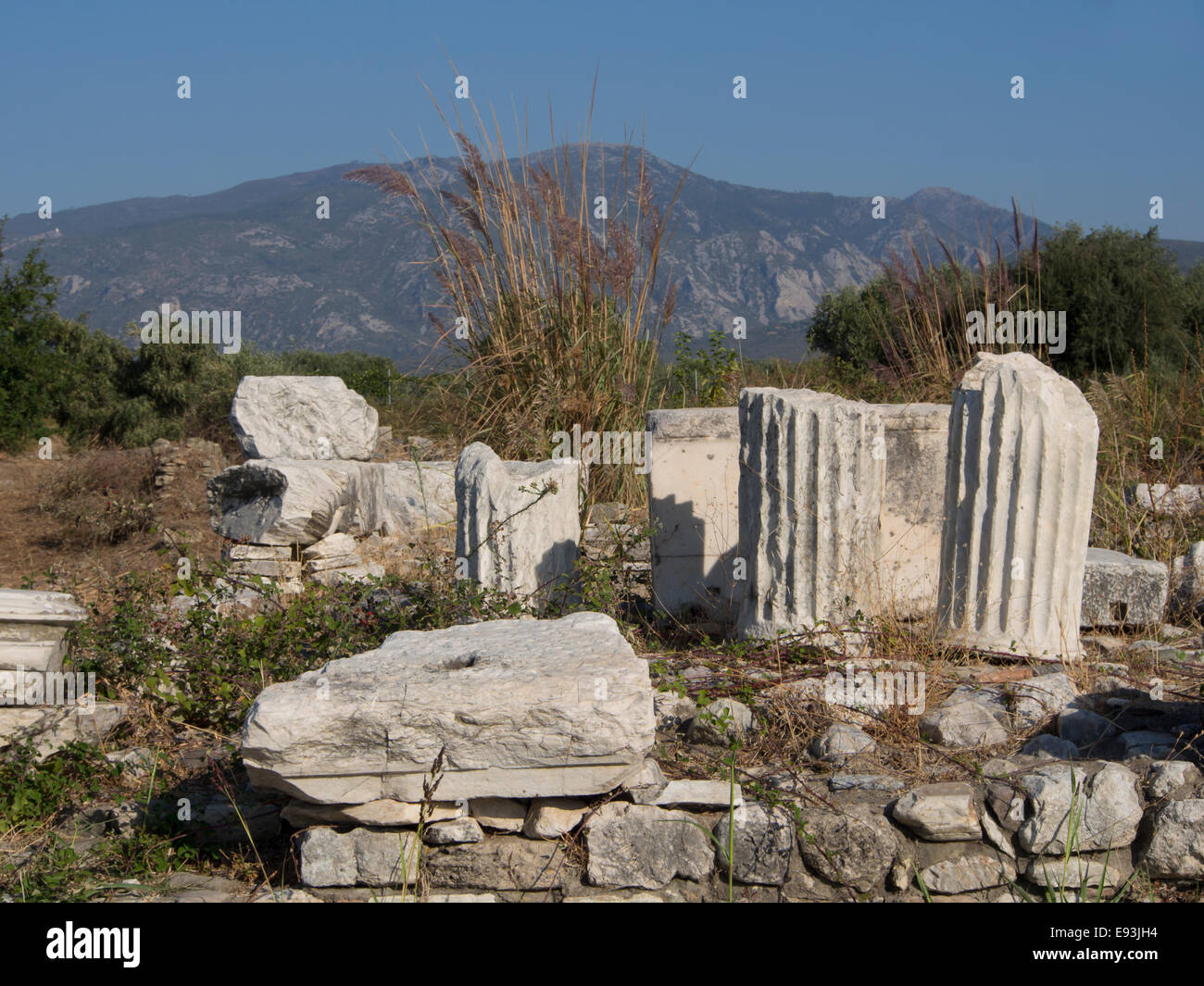 Heraion von Samos, großen Heiligtum der Göttin Hera In Samos Griechenland, ein UNESCO-Weltkulturerbe, Spalten und Stiftungen Stockfoto