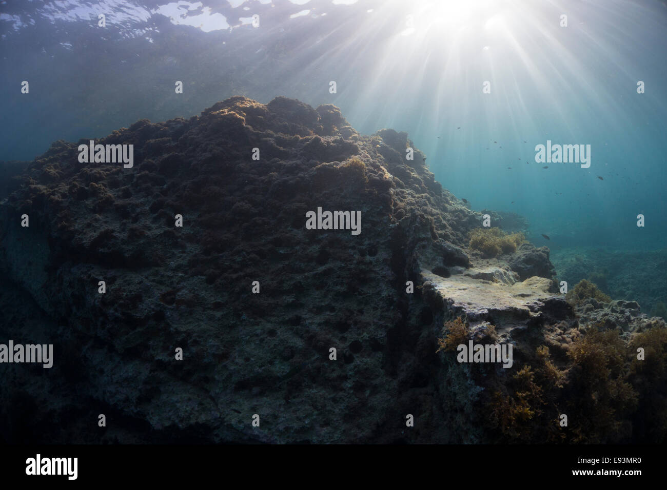 Unterwasserlandschaft des Mittelmeers in Zongor Punkt, Mini blaue Loch, Malta. Stockfoto