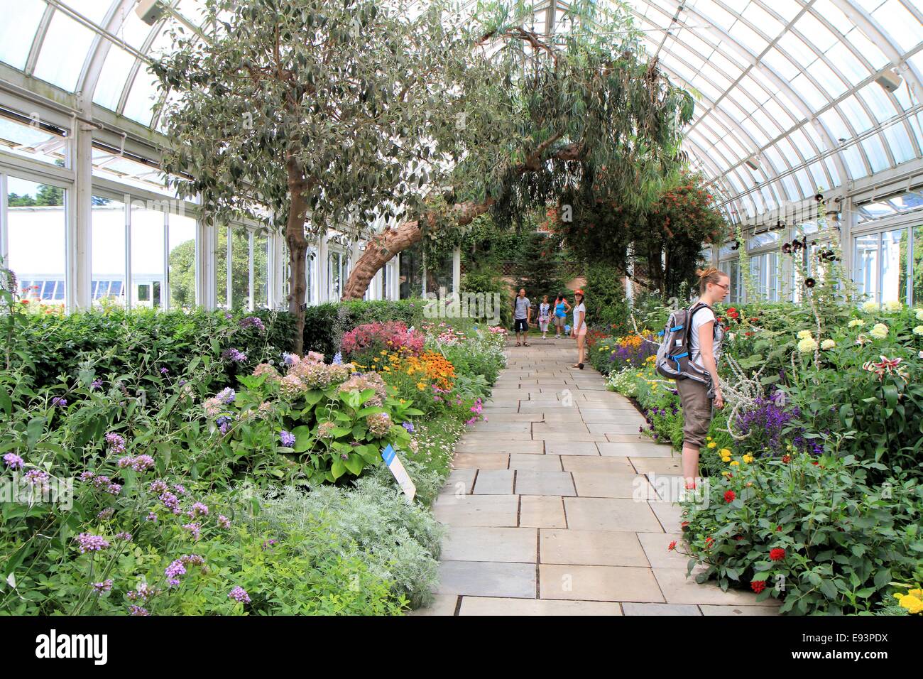 New York Botanical Garden Gewachshaus Bronx Usa Stockfoto Bild