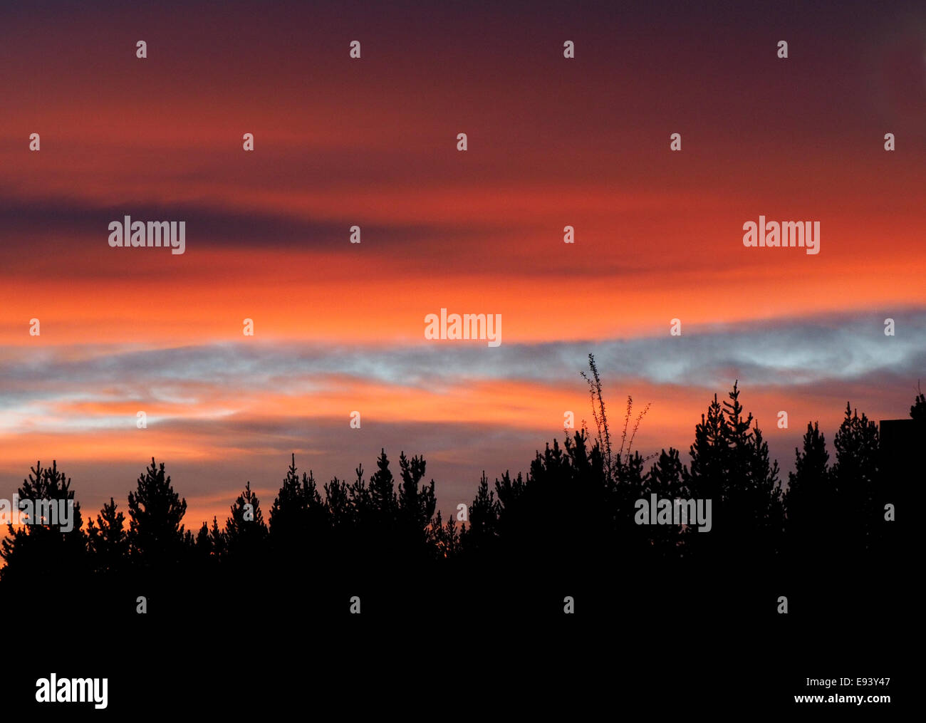 Red Sky Sunrise Yellowstone Park Stockfoto