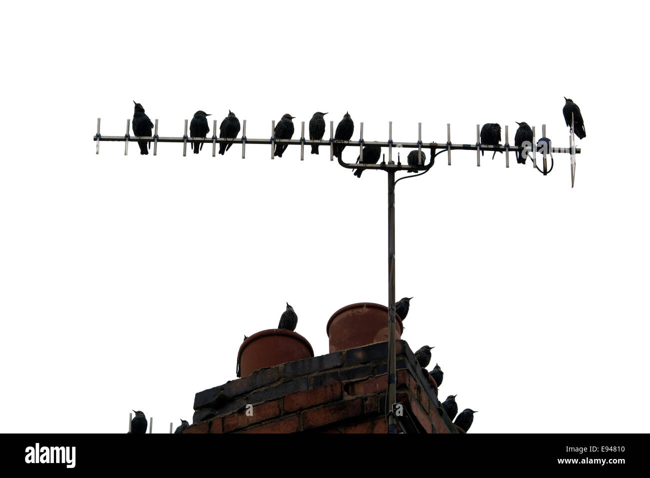 Stare auf eine TV-Antenne, UK Stockfoto