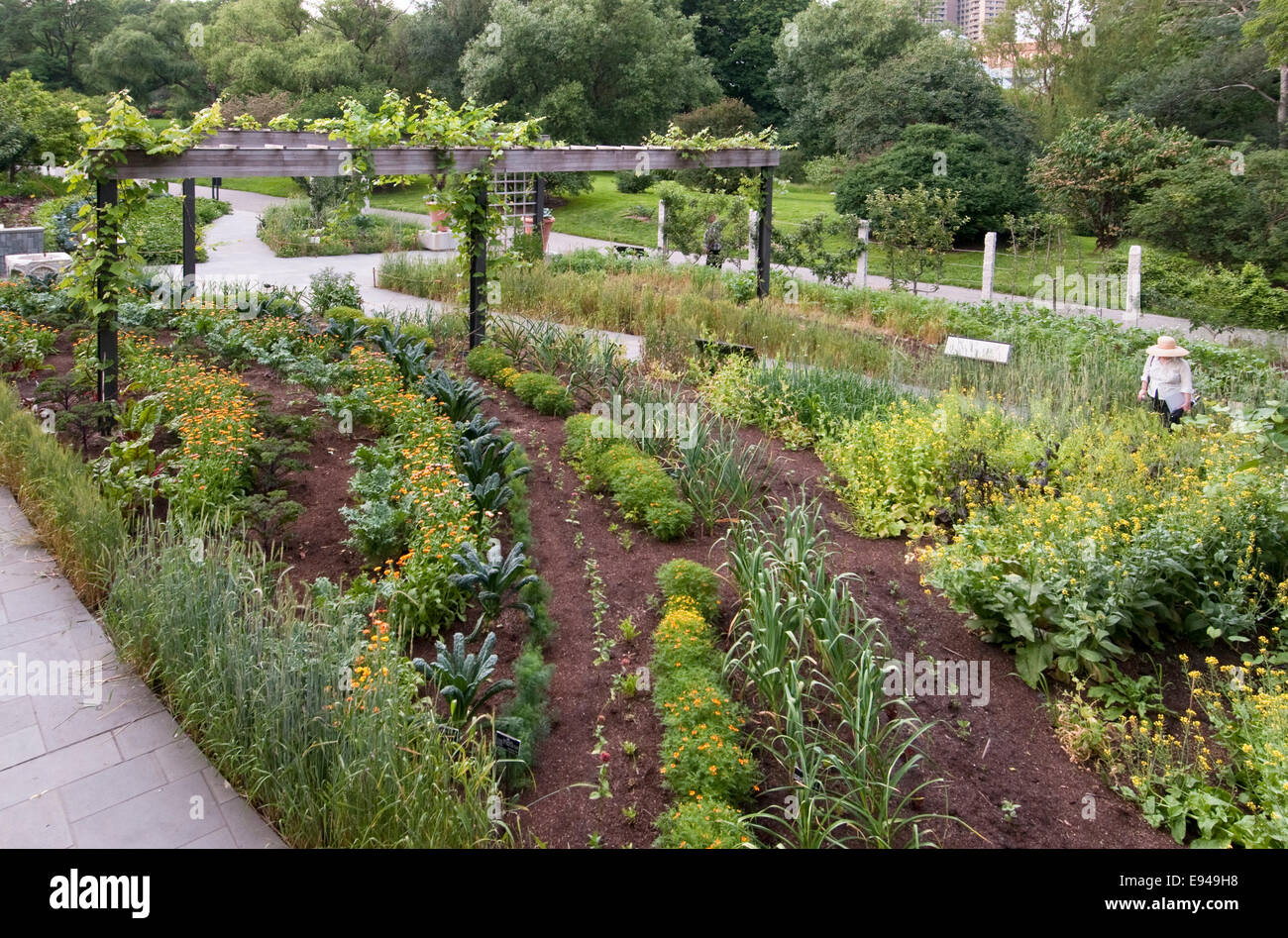 Stadtischen Gemuse Und Krautergarten Garten Im Brooklyn Botanic