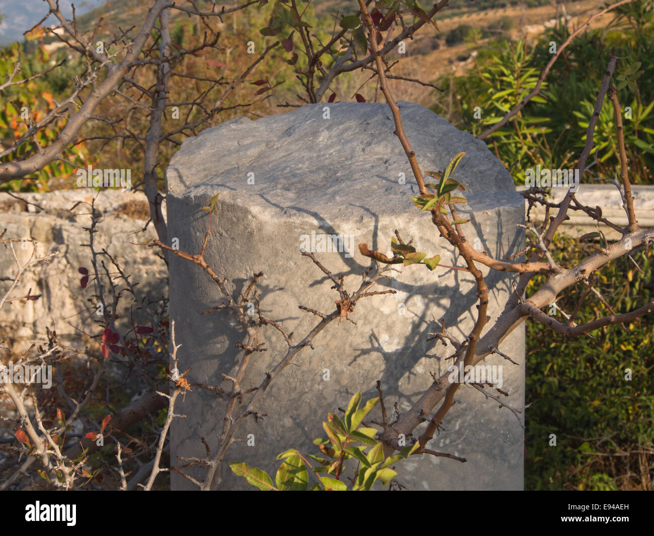 Ruinen des sportlichen Bereich der antiken Samos Griechenland, einer der vielen Sehenswürdigkeiten in der Nähe von Pythagorio Spalte Fragment und vegetation Stockfoto