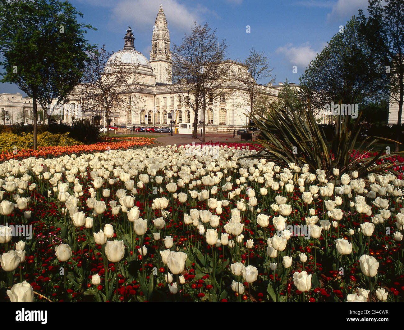 Cardiff City Hall und Uhrturm Stockfoto