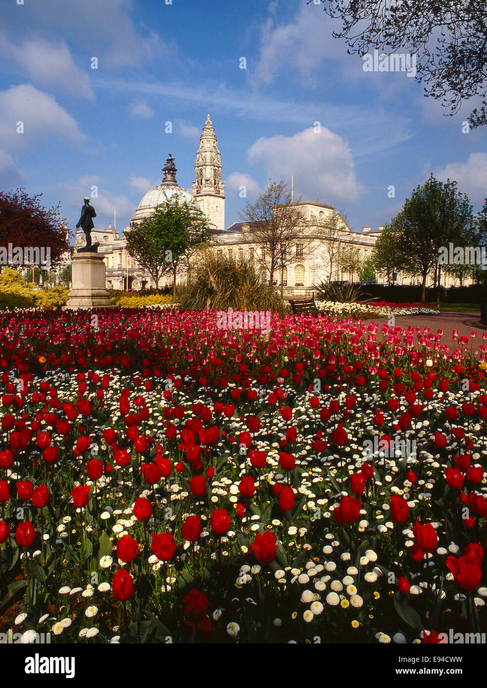 Cardiff City Hall und Uhrturm im Frühling mit Tulpen im Vordergrund Stockfoto