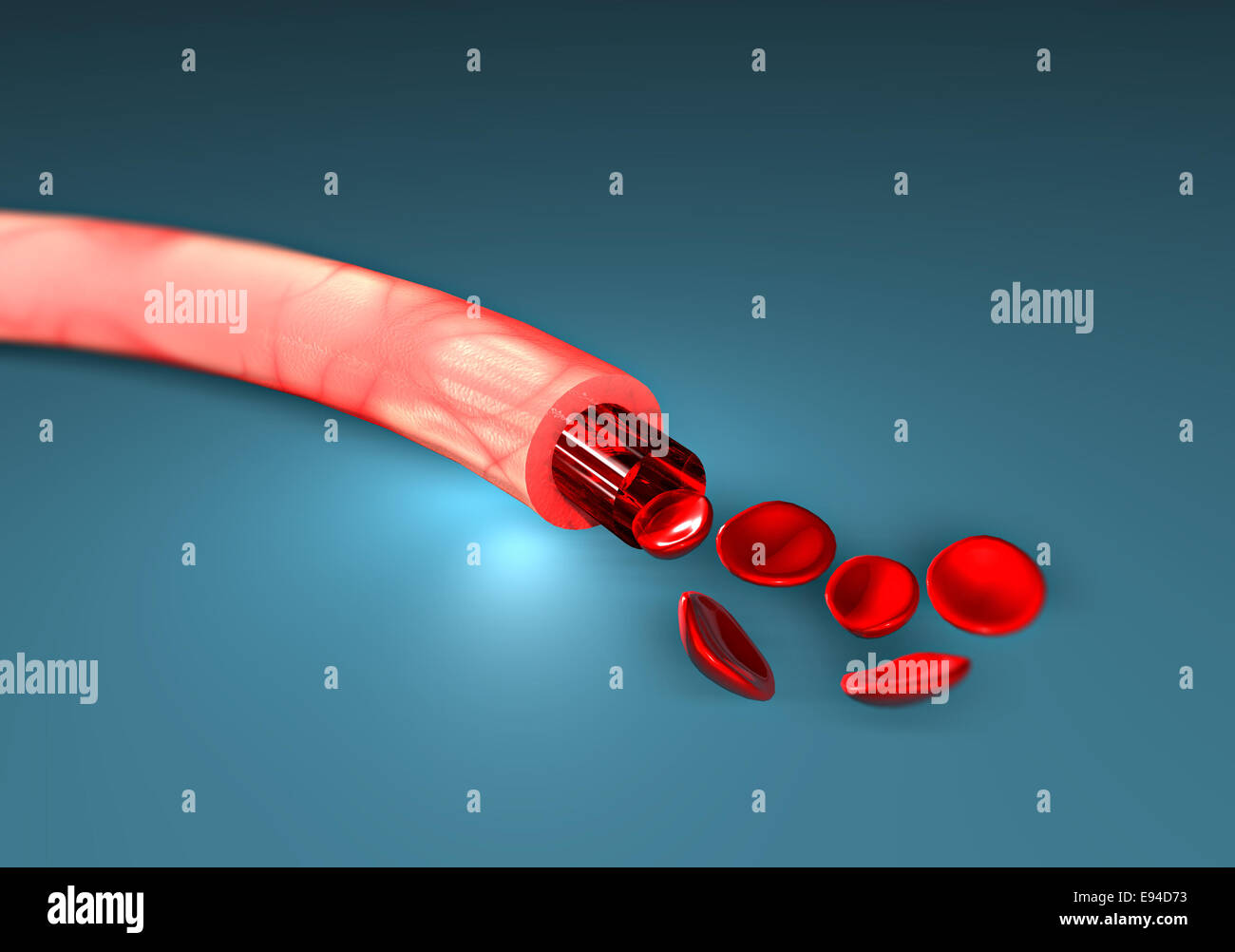 Abschnitt einer Ader mit Blut und rote Blutkörperchen auf einer Ebene Stockfoto