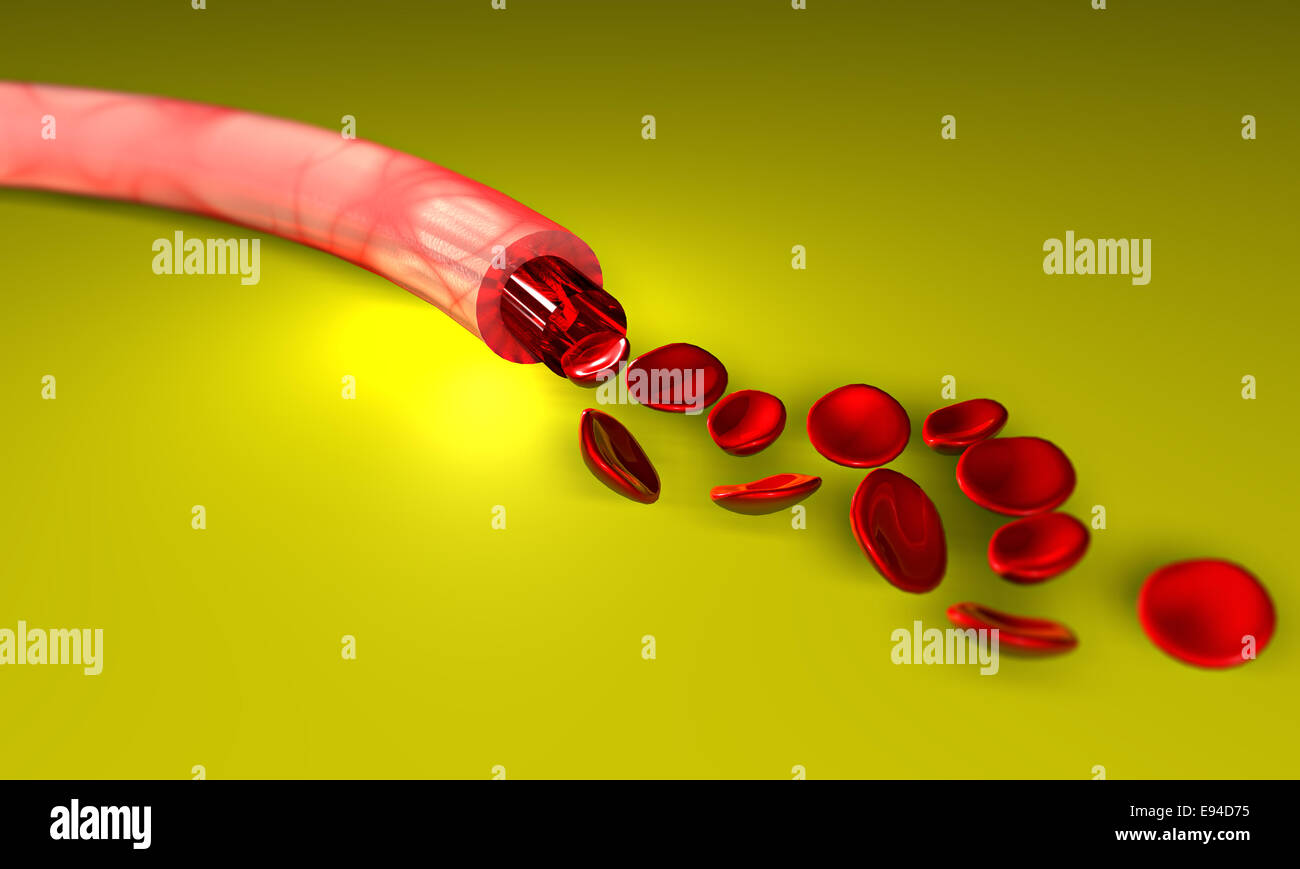 Abschnitt einer Ader mit Blut und rote Blutkörperchen auf einer Ebene Stockfoto