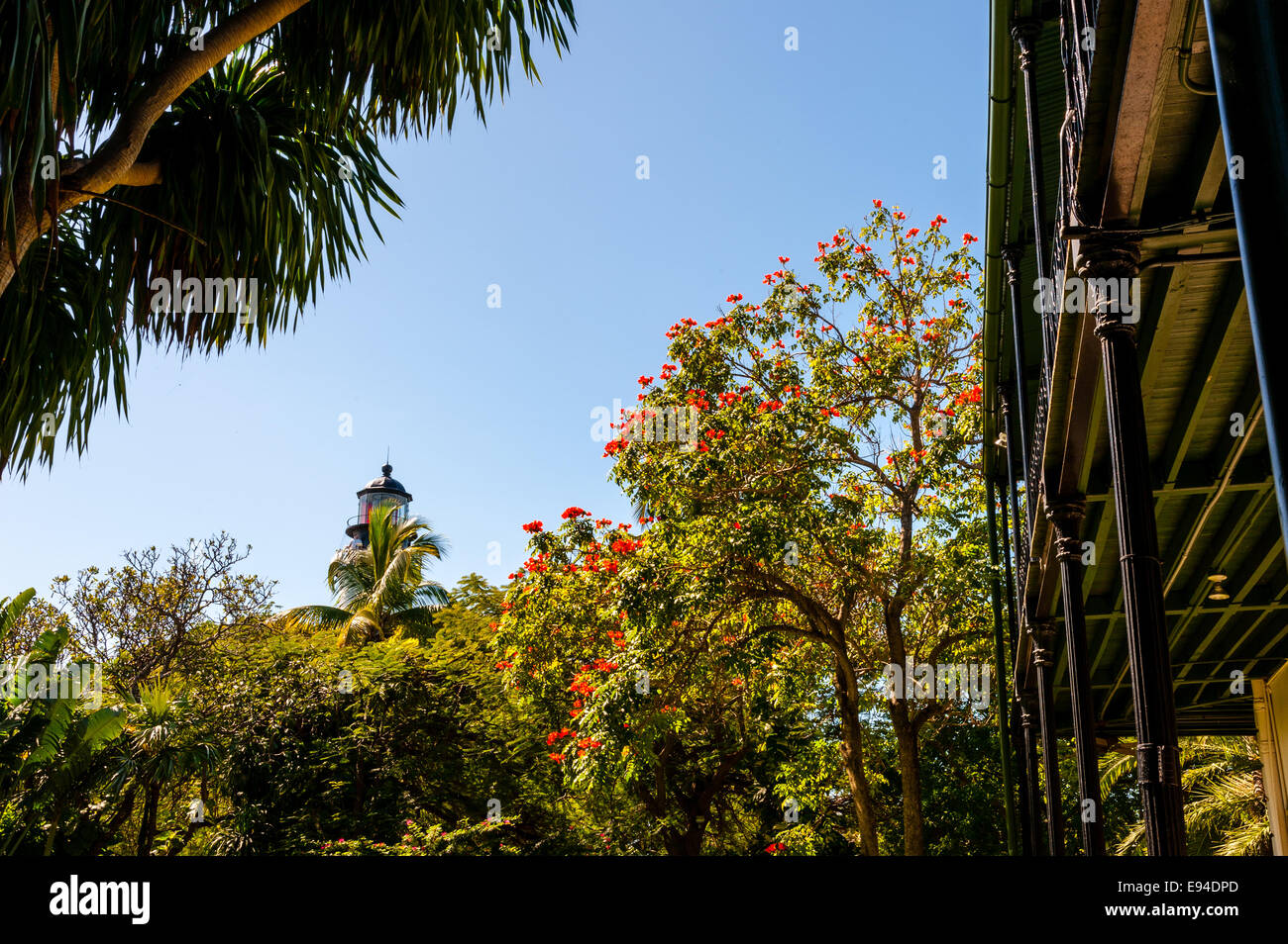 USA, Florida, Key West. Ernest Hemingway Home. Stockfoto