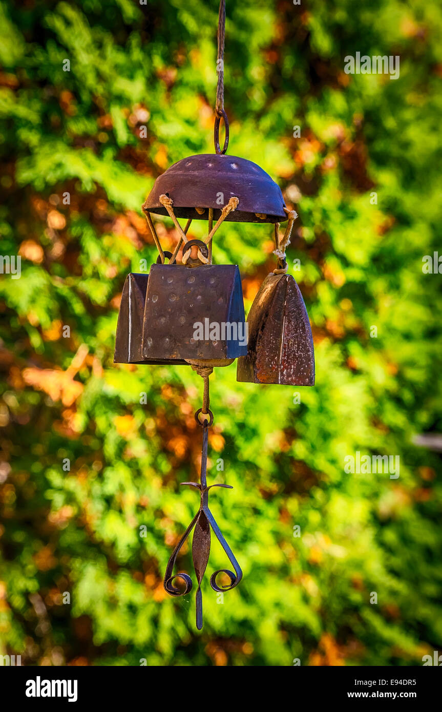 Windspiel Stockfoto