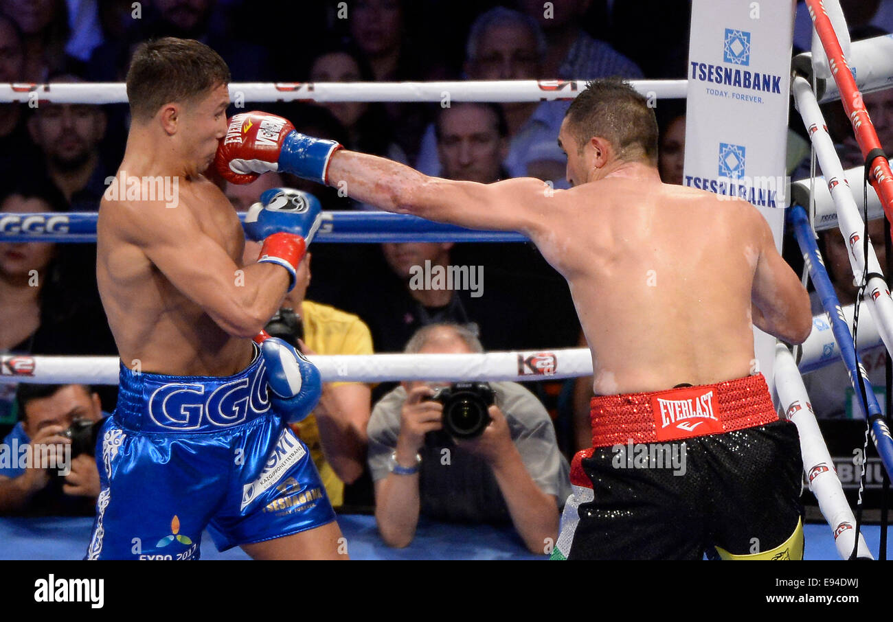 UNS. 18. Oktober 2014. CARSON CA. (im blauen Stamm) Russland Gennady Golovkin geben Beginn der Knock out Punch in der Mitte der 2. Runde als Marco Antonio Rubio Gott sich Samstag Nacht am StubHub Center. Gennady Golovkin holte den Sieg KO in der Mitte der 2d Runde, als der Kampf Halt nach der 10 Graf von Ref Jack Reiss war. Bildnachweis: Gene Blevins/ZUMA Draht/Alamy Live-Nachrichten Stockfoto