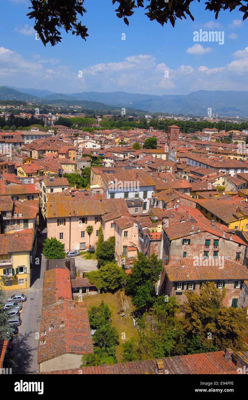 Lucca, Ansicht von Lucca aus Guinigi Turm, Toskana, Italien Stockfoto