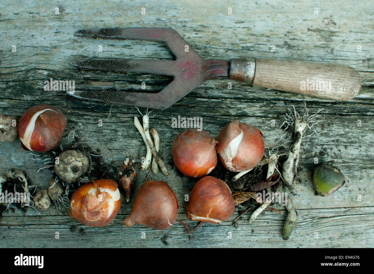 Lampen und Gabel Stockfoto