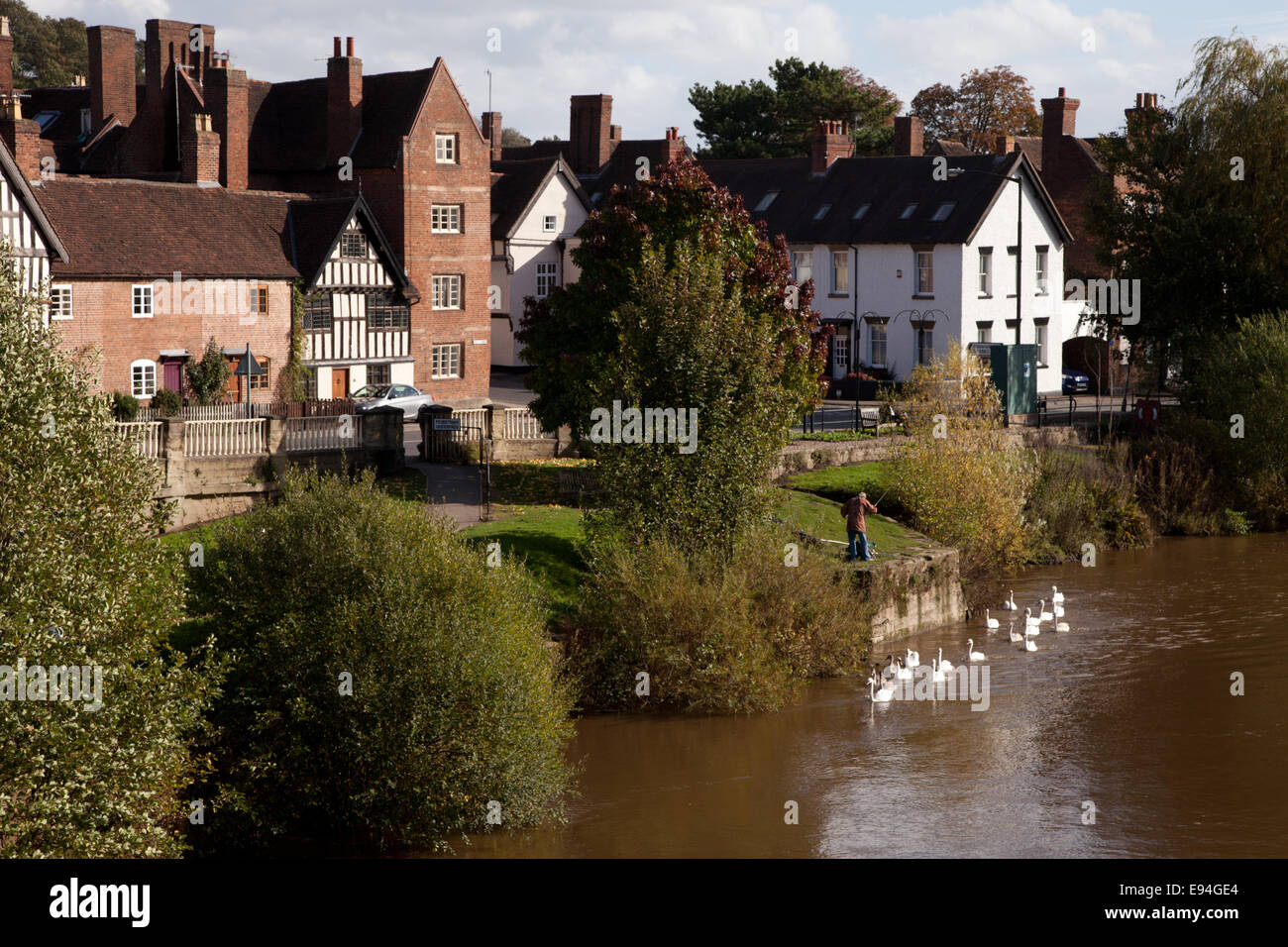 Riverside Häuser und Schwäne auf den Fluss Severn bei Bewdley, Einbindung UK Stockfoto