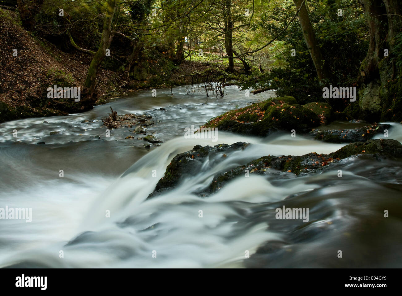 Der spektakuläre, schnell fließende Arbirlot Waterfall und das Elliot Water befinden sich in der Nähe von Arbroath in Schottland, Großbritannien Stockfoto