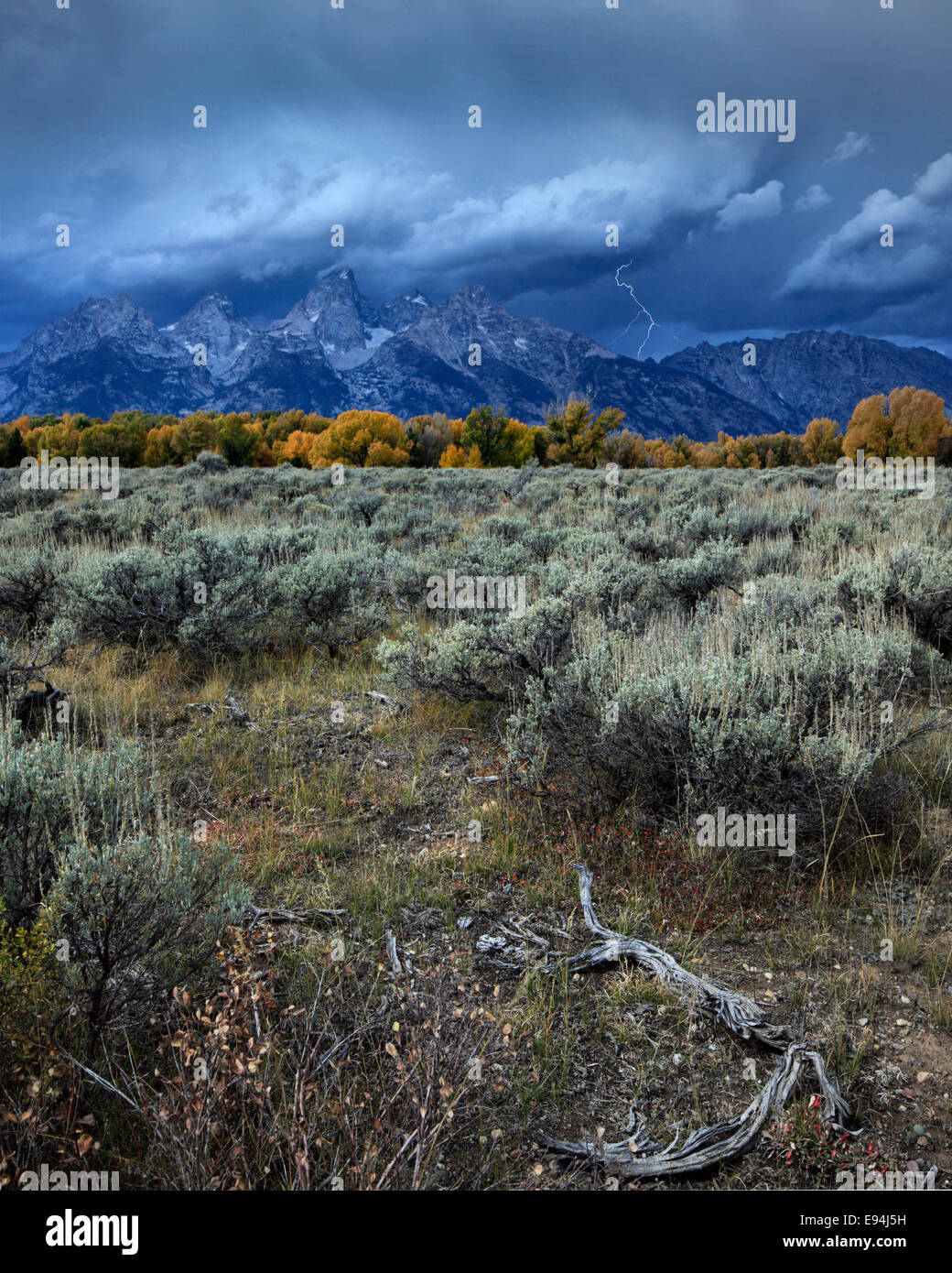 Gewitter mit Blitz über den Teton in der Nähe von Schwabacher Landung im Grand-Teton-Nationalpark, Wyoming Stockfoto