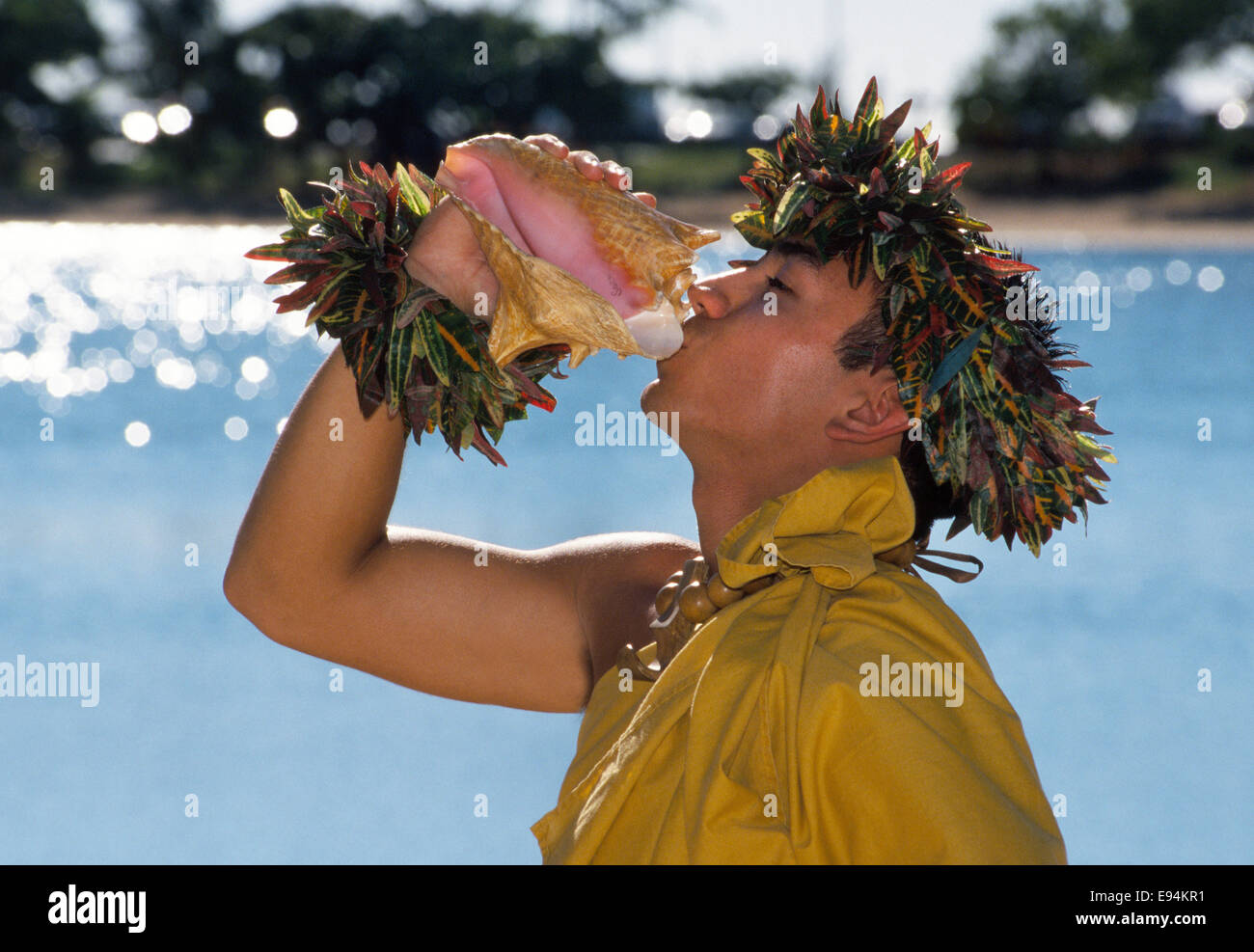 Ein hawaiianische Mann bläst eine Muschelschale um eine laute Fanfare Trompete, die zum Jahresbeginn ein Luau in Honolulu, Hawaii, USA kündigt. Stockfoto
