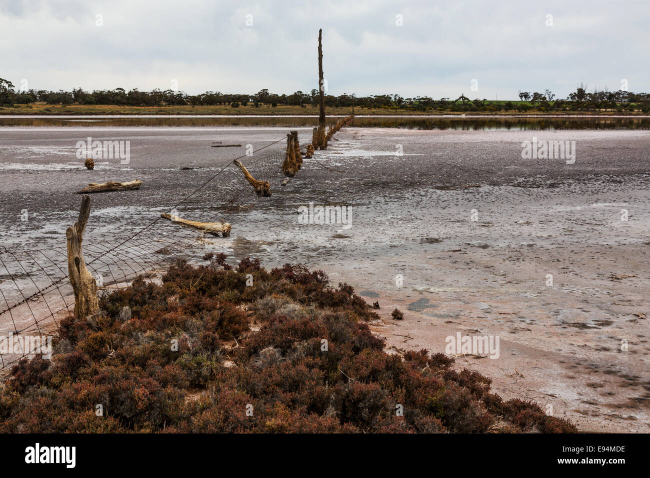 See Wahpool in der Nähe der viktorianischen Stadt Meer See in Australien. Eine Fläche, eine Bedingung bekannt als steigende Salz leiden. Stockfoto