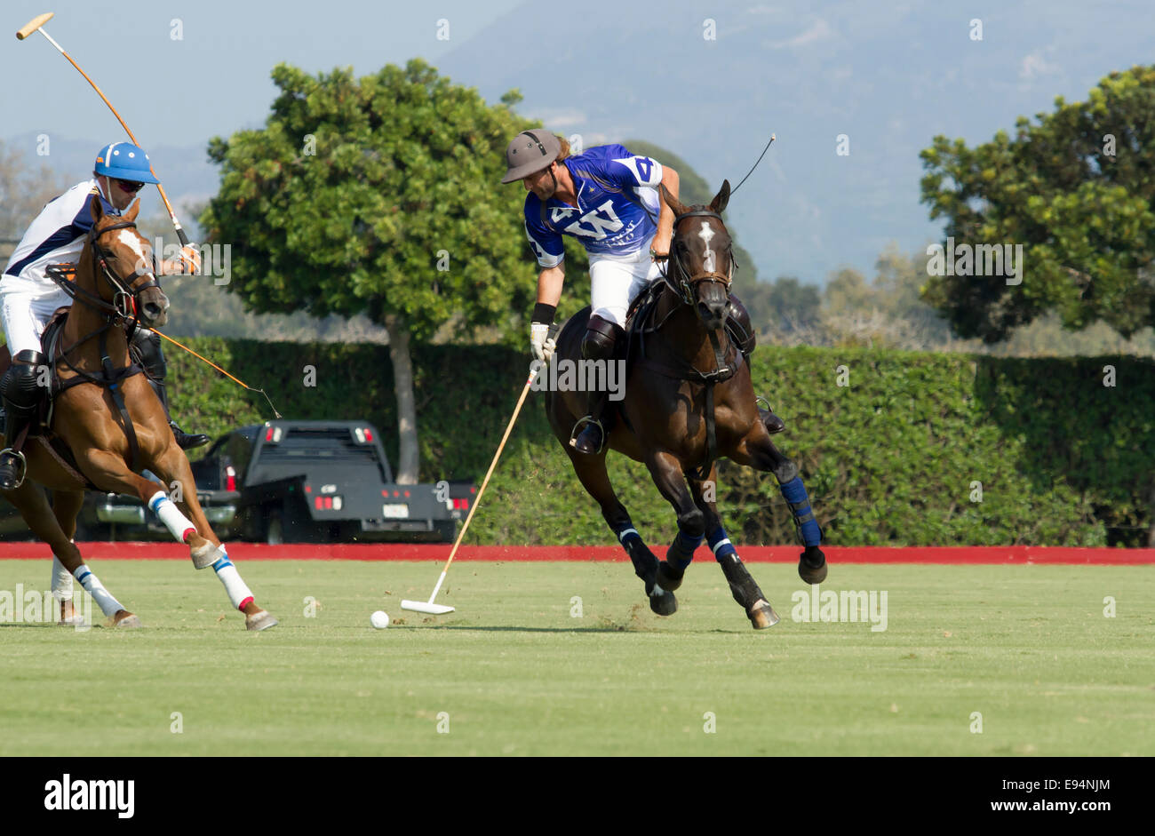 Polo-Spieler im Wettbewerb um Feldposition am ball Stockfoto