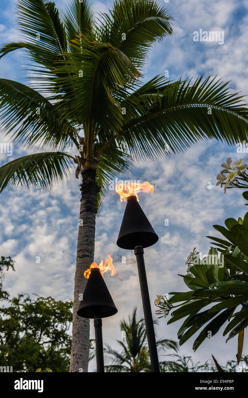 Palm Tree Fackel hawaii Beleuchtung reisen Resort Abend closeup traditionelle Sicht Szene gesehen Flamme brennen Stockfoto