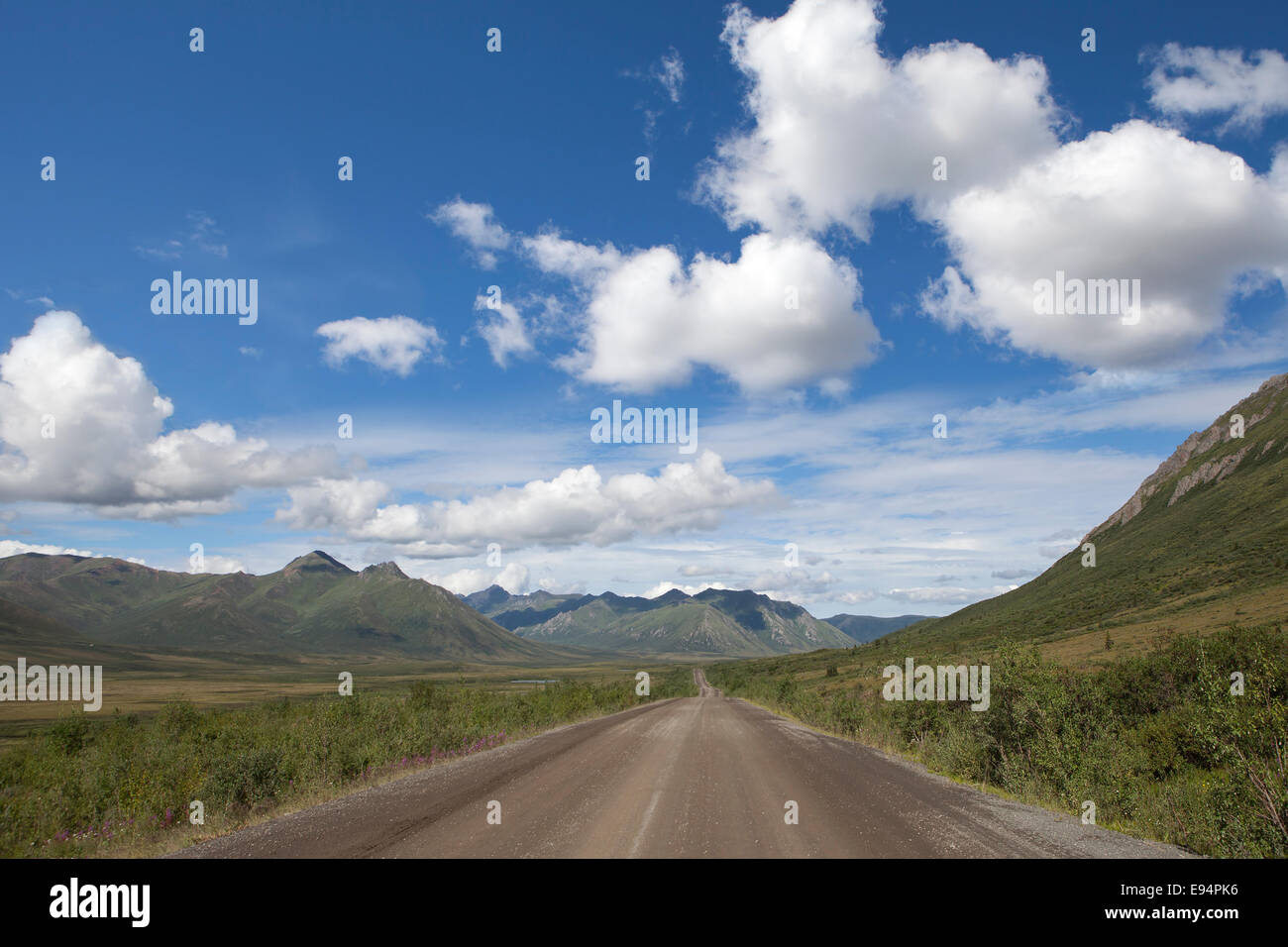 Dempster Highway im Yukon-Territorium in Kanada an einem schönen Sommertag. Stockfoto