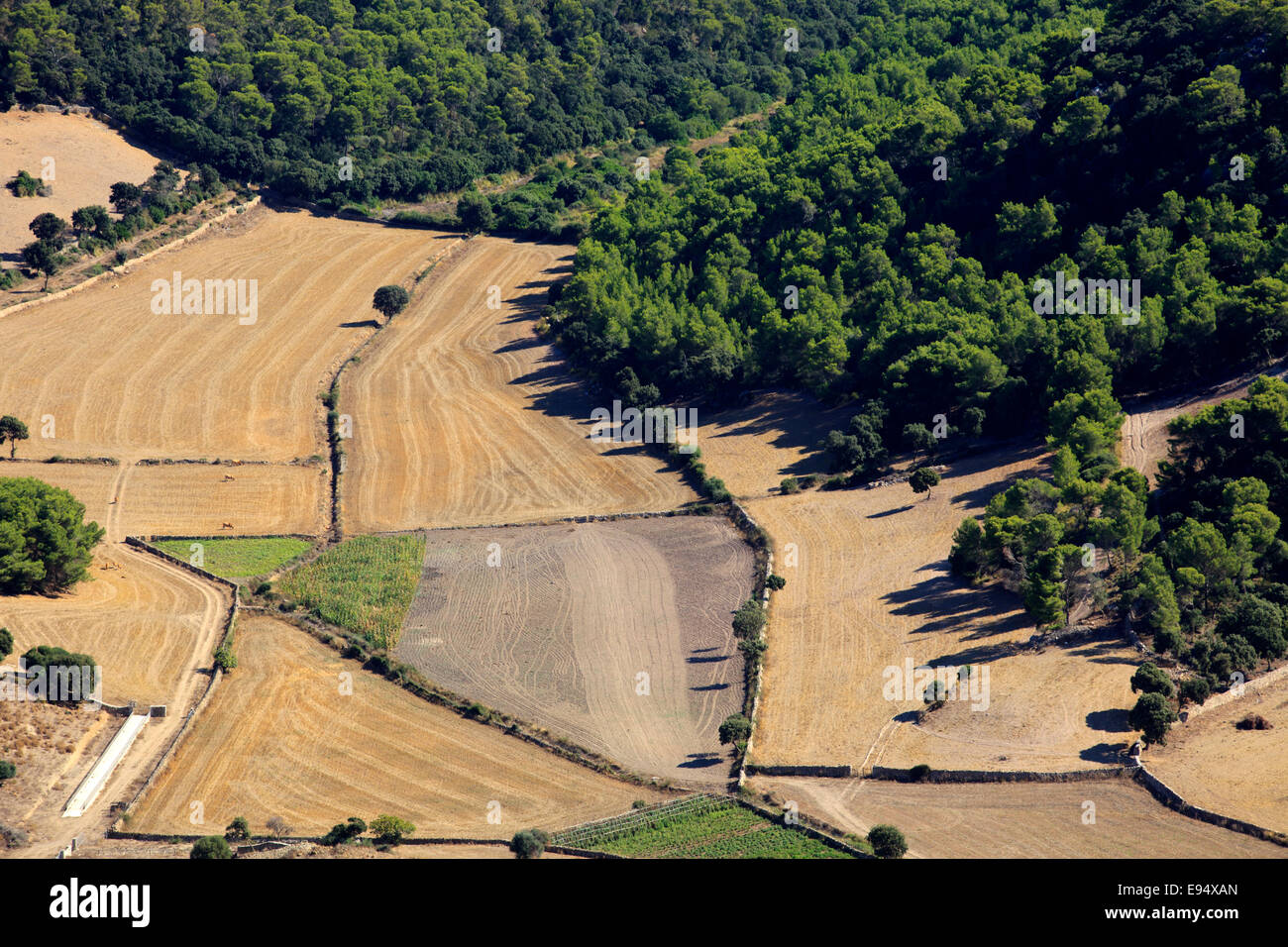 Blick vom Gipfel des Monte Toro (El Toro), Es Mercadal, Menorca, Balearen, Spanien Stockfoto