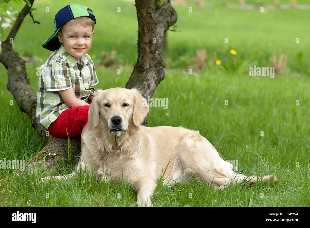 Ein kleiner Junge und Hund im Garten Stockfoto