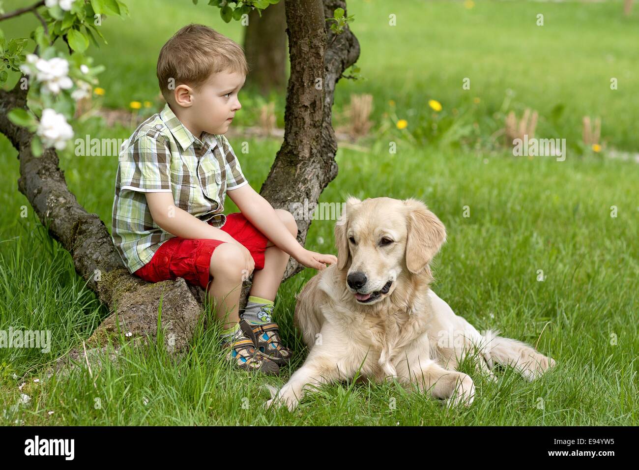 Ein kleiner Junge und Hund im Garten Stockfoto