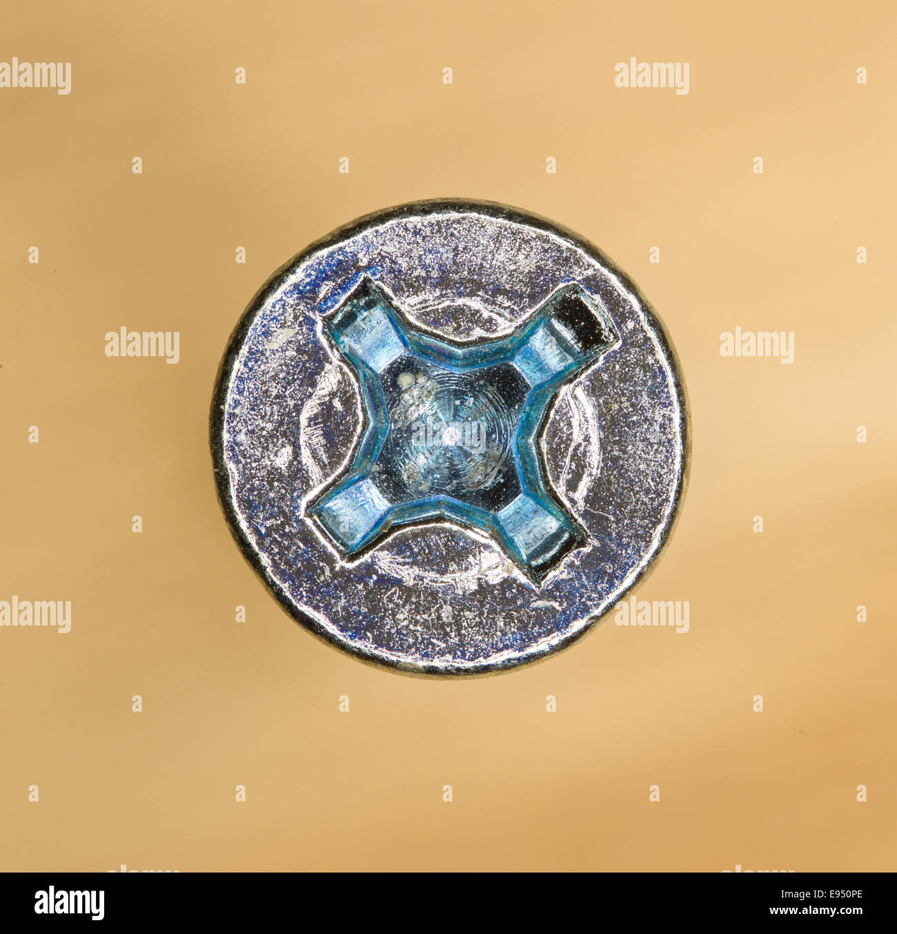 Makro-Bild von einer Nickel-Schraube Sternschraube Stockfoto