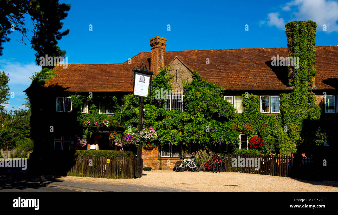 New Forest Nationalpark, Hampshire, England Stockfoto