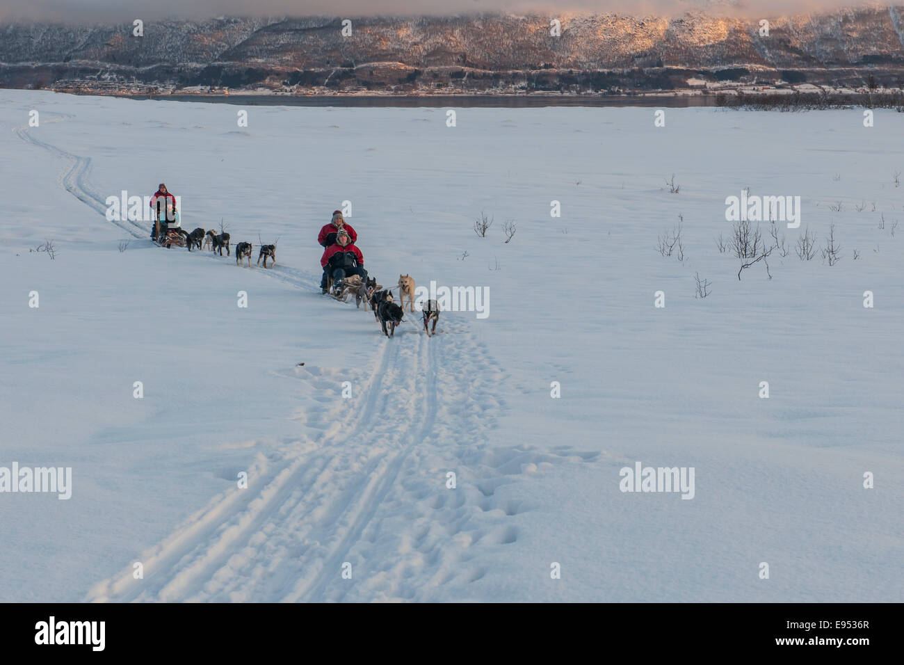 Hundeschlitten im Schnee, in der Nähe von Tromsø, Troms, Norwegen Stockfoto