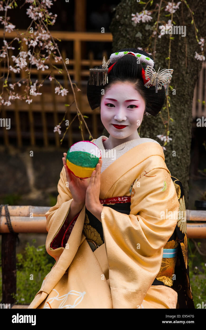 Geisha vor einer blühenden Kirsche Baum im Geisha-Viertel Gion, Kyoto, Japan Stockfoto