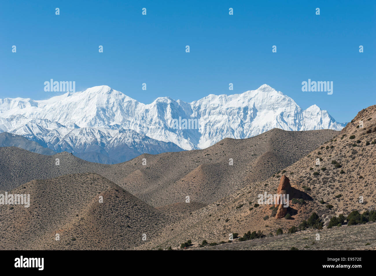 Karge, hügelige Landschaft, schneebedeckten Mt Nilgiri Nord, 7061 m, hinten, Annapurna Range in der Nähe von Samar, Upper Mustang Lo, Nepal Stockfoto