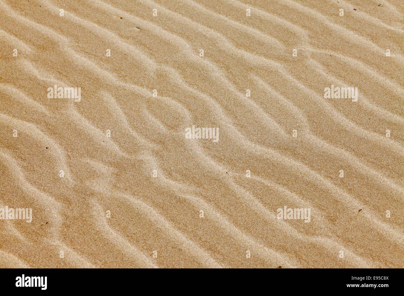 Sandy Beach Stockfoto