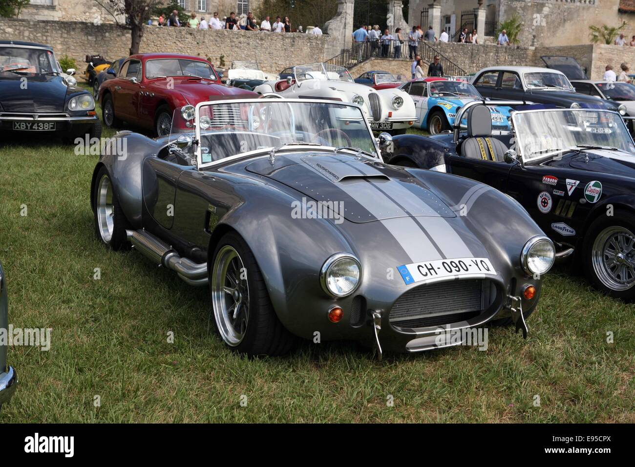 AC Cobra Stockfoto