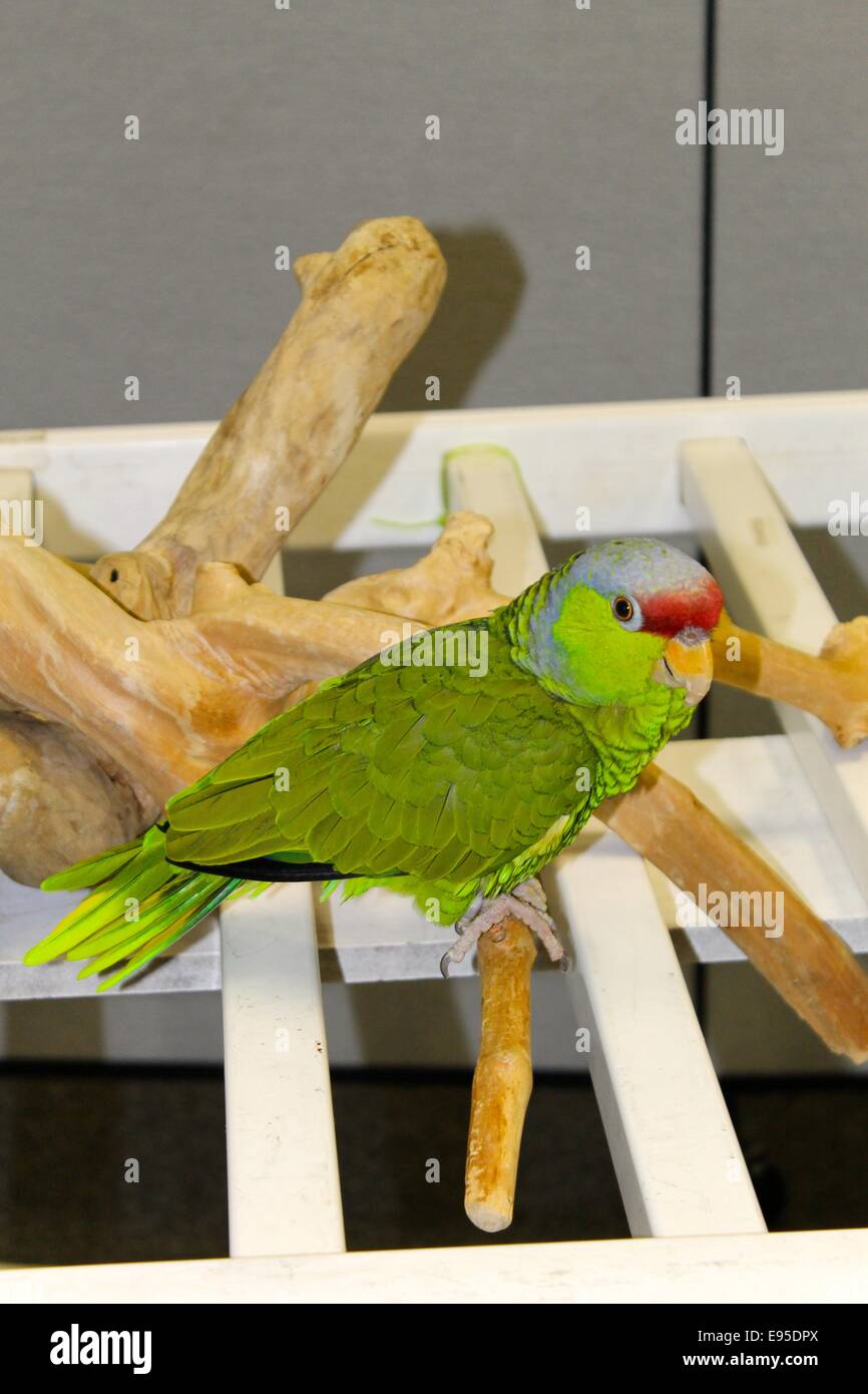 Hier betrachten Sie! Stockfoto