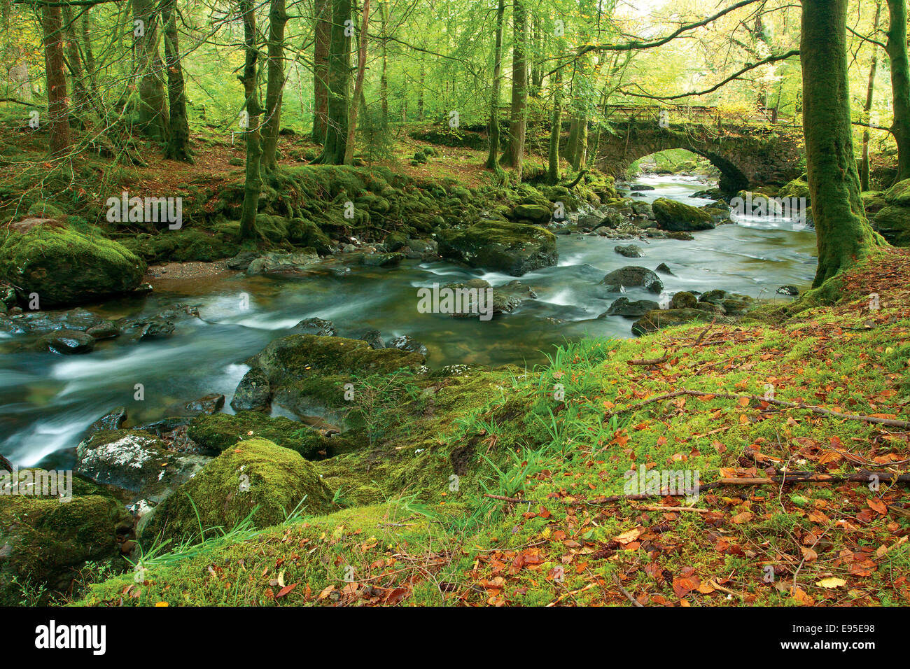 Der River Croe, Ardgartan, Argyll Forest Park, Stockfoto