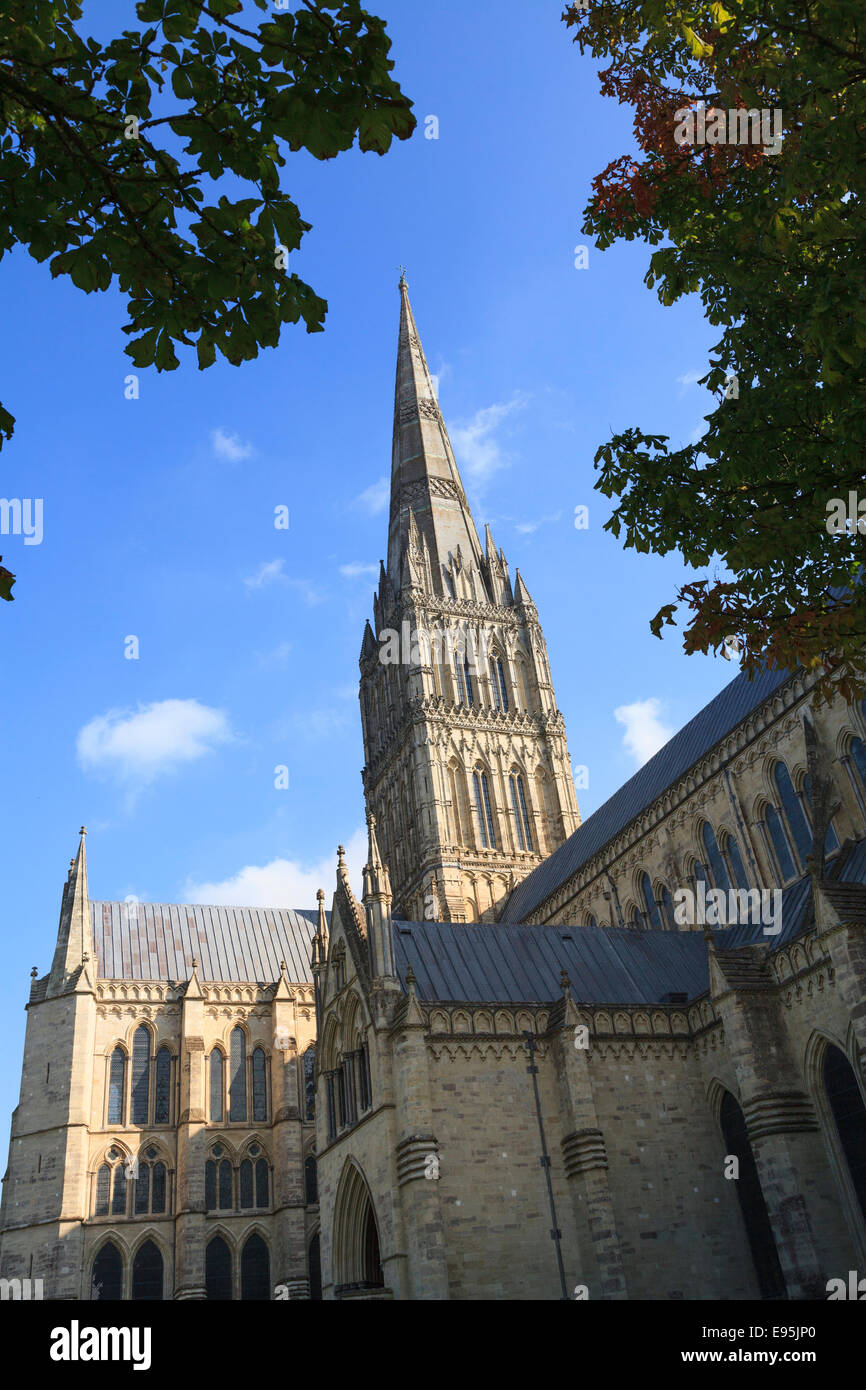 Nordfassade der Kathedrale von Salisbury und spire Stockfoto