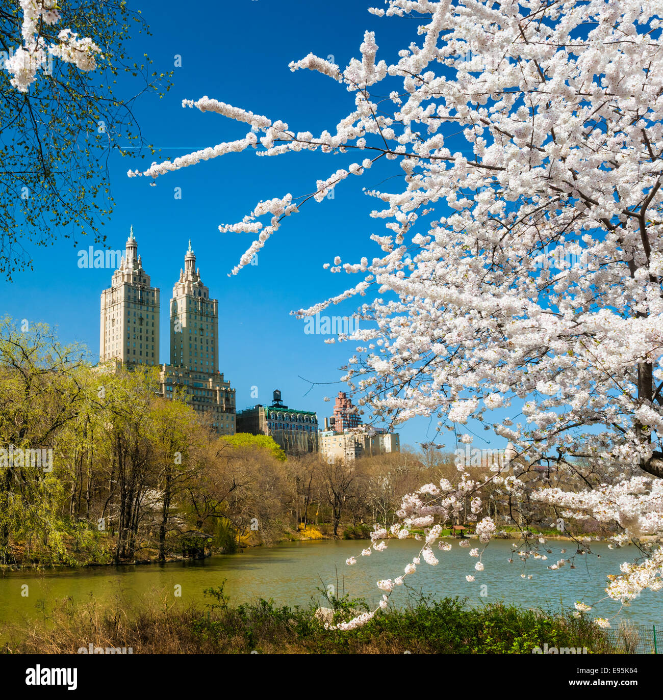 Central Park in New York City. USA. Stockfoto