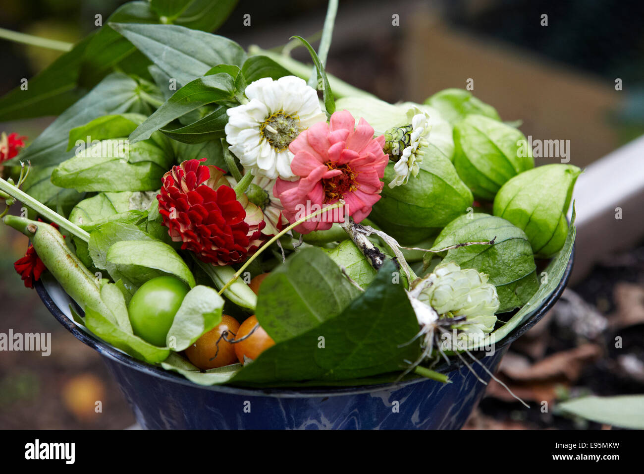 Schale mit Gemüse und Blumen aus heimischen biologischen Garten geerntet Stockfoto