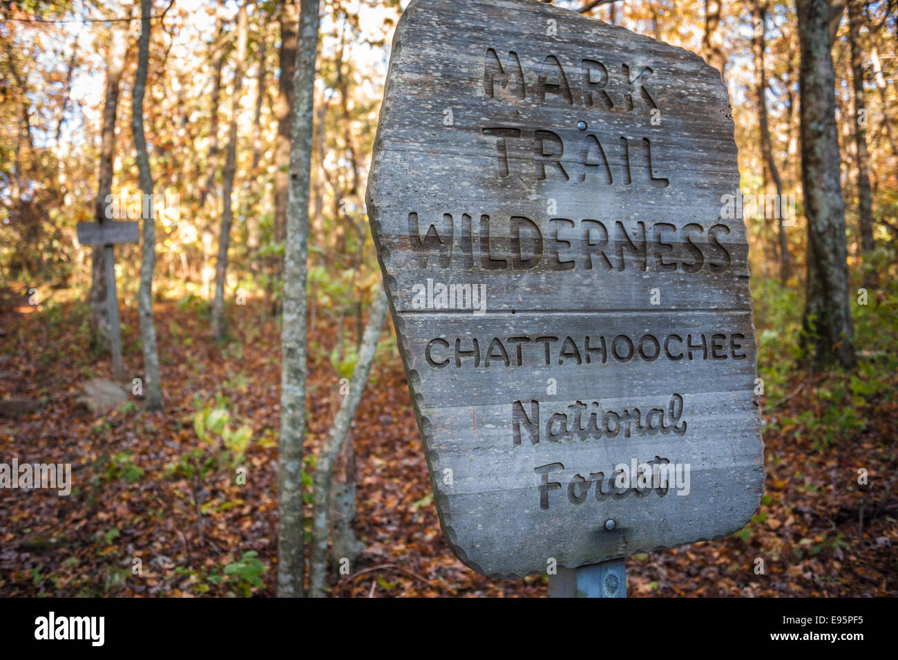 Herbst mit Blick auf Mark Trail Wildnis-Schriftzug auf dem Appalachian Trail im Chattahoochee National Forest in North Georgia, USA. Stockfoto