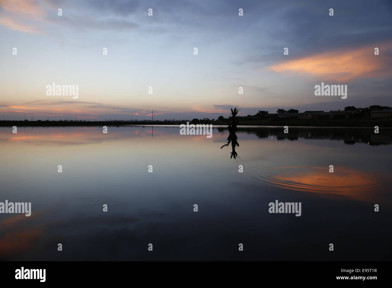 Einen wunderschönen afrikanischen Sonnenuntergang mit einer toten Baum Stump Reflexion in einem Spiegel-See. Stockfoto