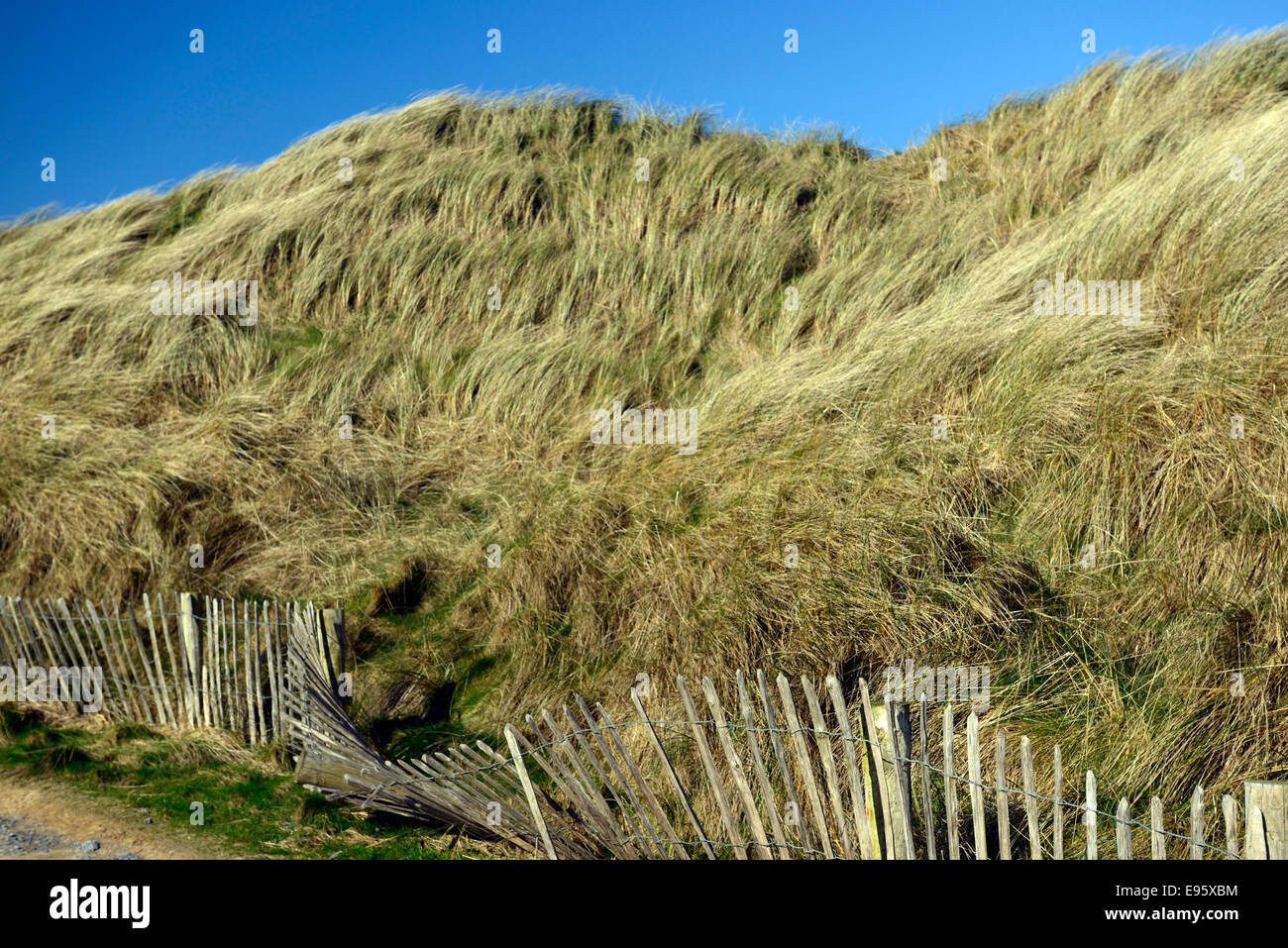 Doughmore Beach County Clare Ireland Strand Düne Dünen Doonbeg Trump Golf Resort Atlantikküste Landschaft malerische Stockfoto