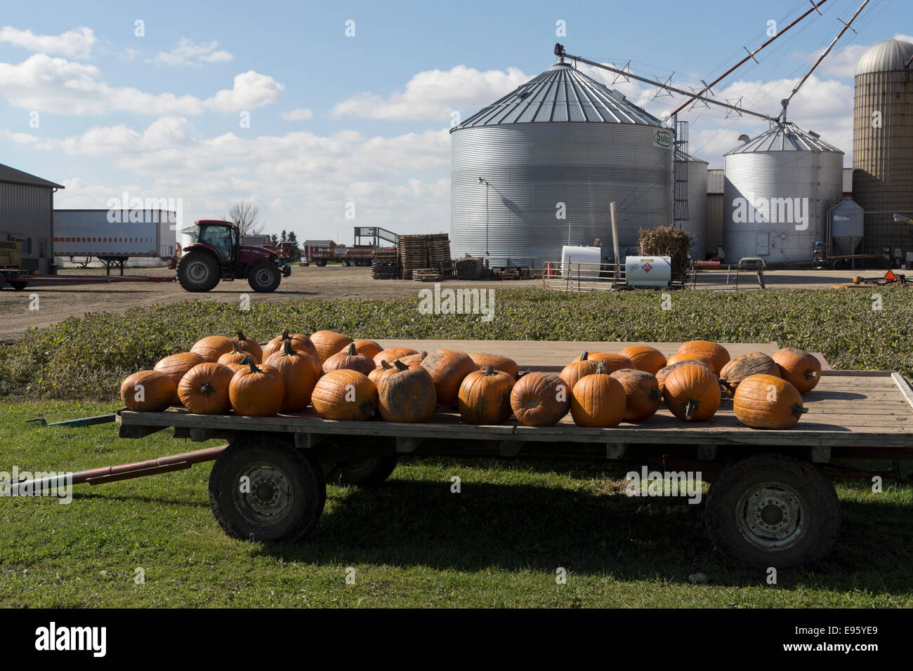 Geerntete Kürbisse sitzen auf einem Bauernhof Wagen neben einem Bean-Feld im Norden von Illinois. Stockfoto