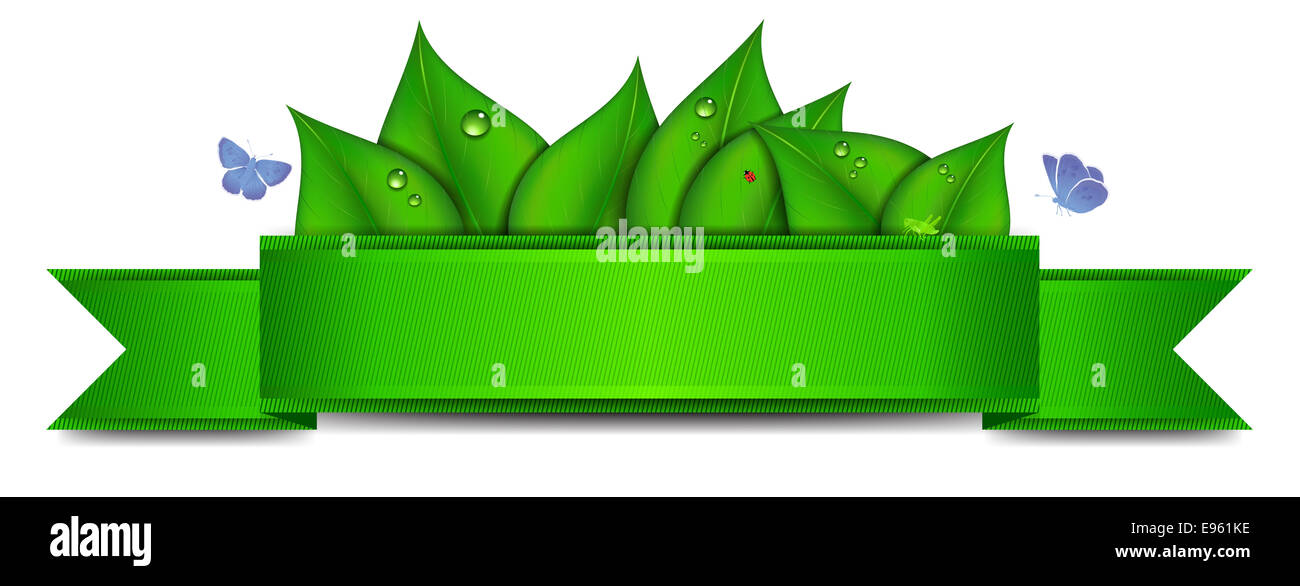 Grüne Fahne mit Butterflys Stockfoto