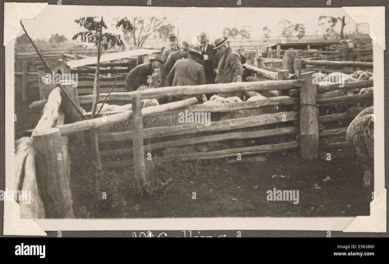 Terramungamine Station Dubbo - Herr Collins überblickt em [sie] Stockfoto