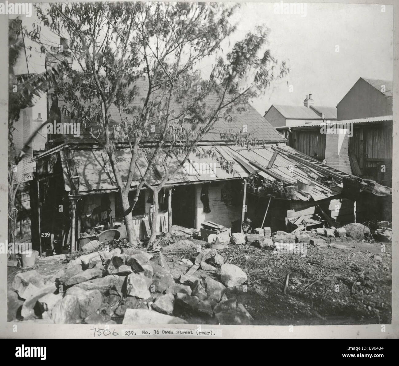 Ansichten während der Reinigung Operationen, Quarantäne-Bereich, hinten Nr. 36 Owen Street, Sydney (NSW) Stockfoto