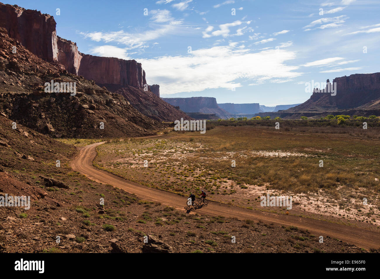 Mountainbiker auf dem White Rim Trail in der Nähe von Moab, Utah. Stockfoto